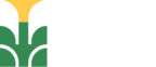 anaiblooms.hostingersite.com